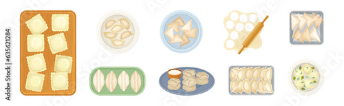 Various Dumplings of Cooked Dough with Filling Vector Set
