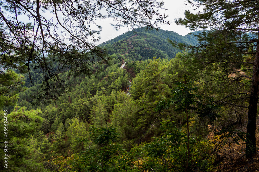 The Troodos mountain range on the island of Cyprus overgrown with pine forest. Beautiful natural landscape. The Troodos mountain range on the island of Cyprus overgrown with pine forest. Beautiful natural landscape.