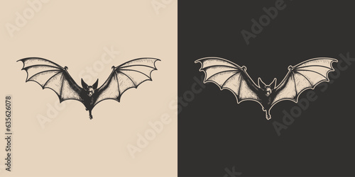 Vintage retro Halloween bat bird spooky scary horror element. Monochrome Graphic Art. Vector. Hand drawn element in engraving. style