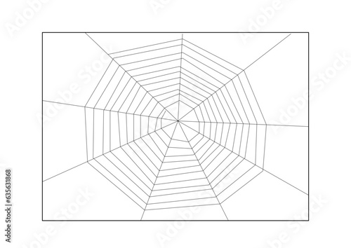 spinnennetz oder radnetz aus schwarzen spinnenfäden