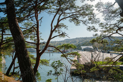 Fototapeta Naklejka Na Ścianę i Meble -  Matsushima harbor view with green pine trees in Miyagi, Japan