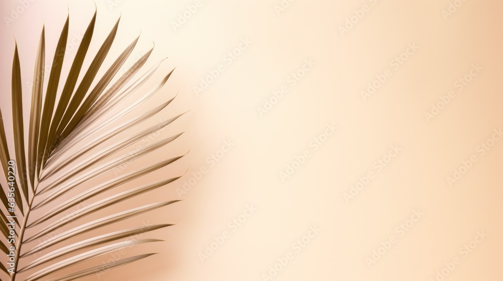 Fototapeta premium Minimalist background with palm leaves