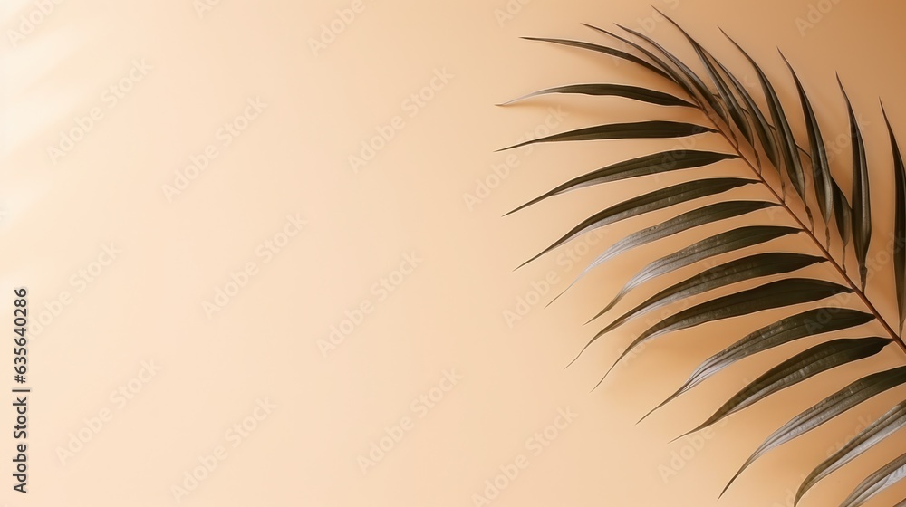 Minimalist background with palm leaves Minimalist background with palm leaves