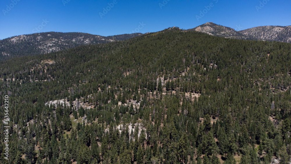 Aerial View of Sequoia National Forest, Kern County, California