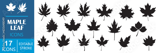 Set of maple leaf silhouettes. Set of maple leaves. Maple leaf icons set. Vector illustration