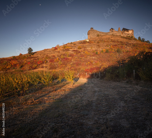 Famous medieval castle of B...