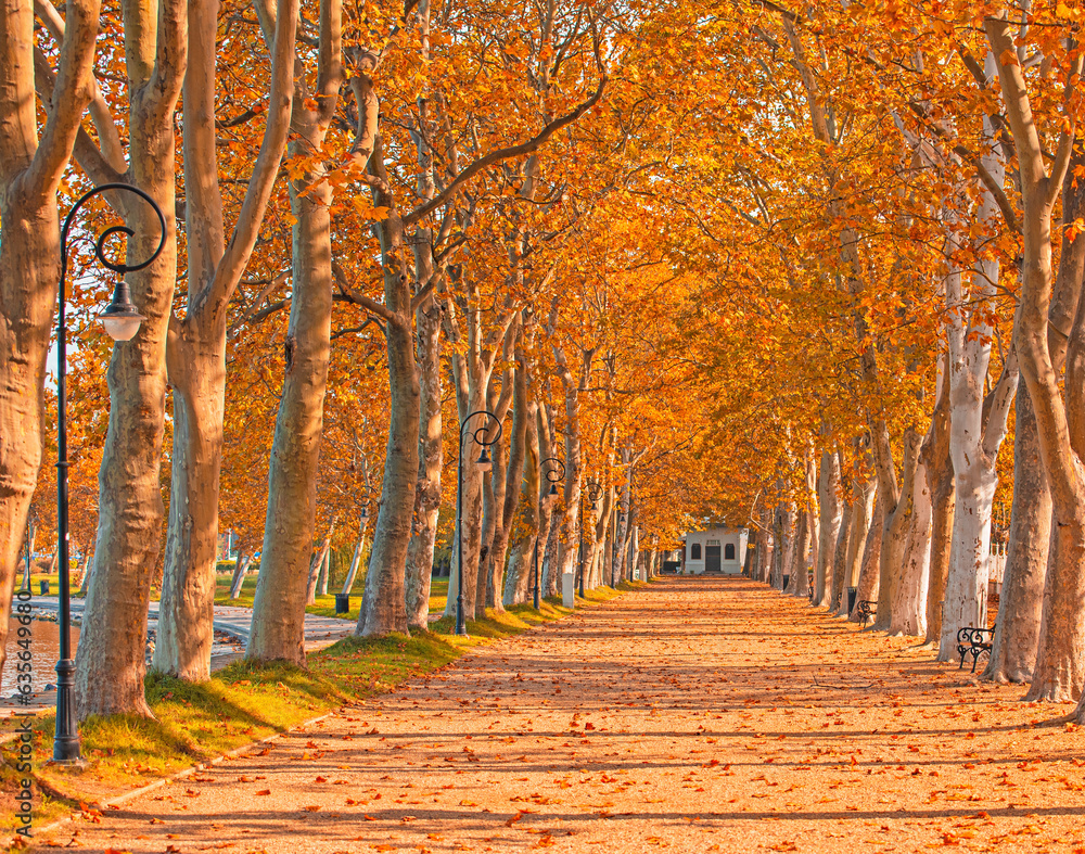 Naklejka premium Nice Kvassay avenue at lake Balaton