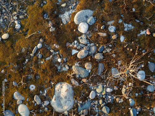 Ground background. Stones, pebbles, earth and moss. What is under your feet. Beach ground.