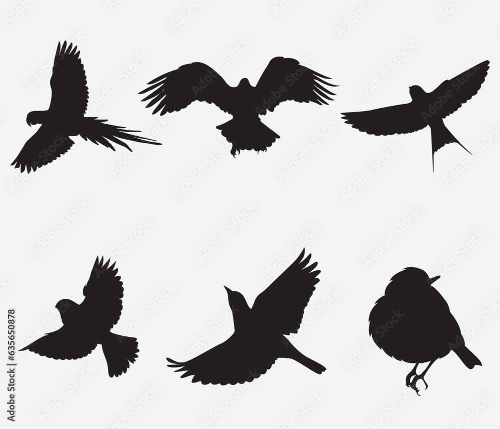 Obraz premium Vector Collection of Bird Silhouettes