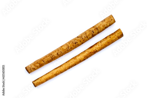 Burdock Root (Gobo) on white background.