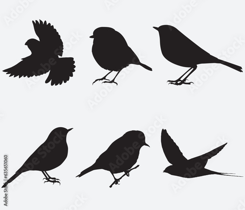 Vector Collection of Bird Silhouettes