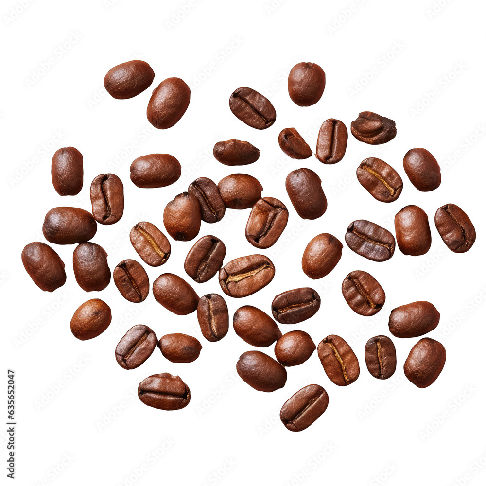 beans used for making coffee beans used for making coffee