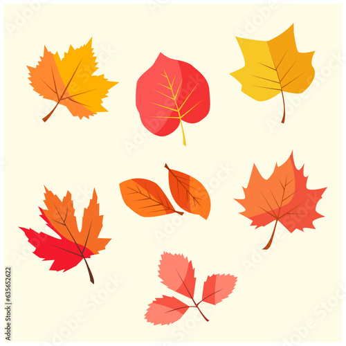autumn leaves collection, high quality vector and editable stock isolated on white background.