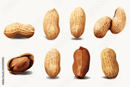 Peanuts vector flat minimalistic isolated illustration