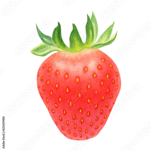 Juicy ripe strawberry isolated on transparent background. Watercolor hand drawn illustration. For advertising  packaging  menus  invitations  business cards  postcards  printing.