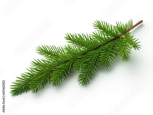 Fresh pine branch showcasing its dense green foliage  perfect for Christmas-related content and backgrounds.