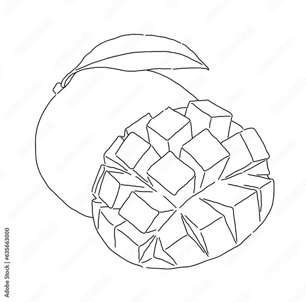Hand drawn illustration of tropical fruit 'Apple Mango'. 'Apple Mango