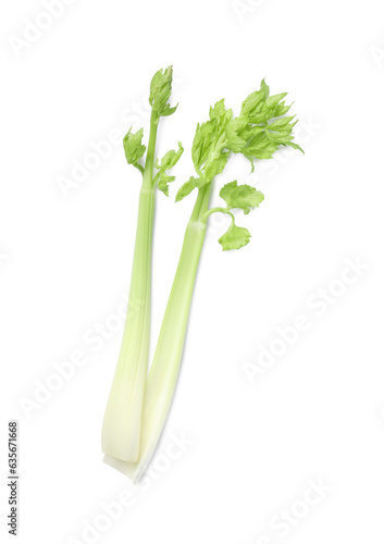 Fresh stalks of celery isolated on white, top view