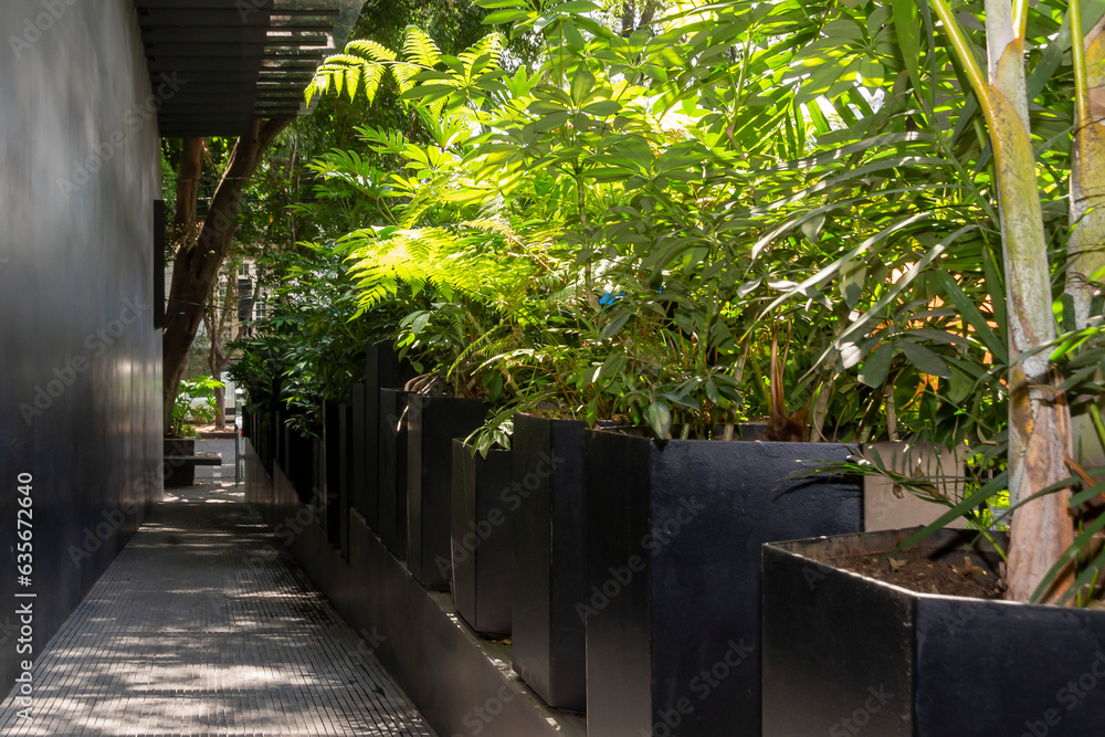 Black concrete hallway with plants Black concrete hallway with plants
