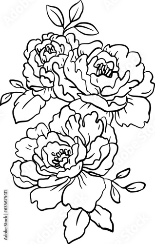 Line art flowers peony roses.