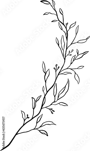 Fototapeta Naklejka Na Ścianę i Meble -  Line art foliage leaf branch illustration.