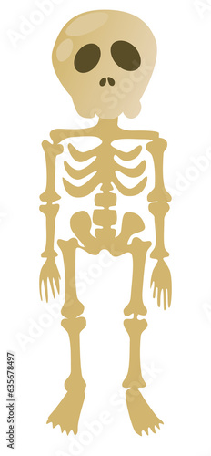 Human skull and bones ghost vector illustration for Halloween