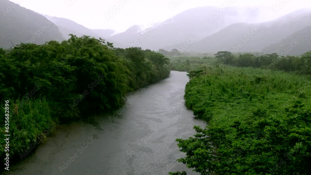 奄美の川内川の梅雨景色 奄美の川内川の梅雨景色