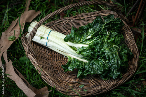 Organic Silverbeet in a brown basket resting on grass. photo