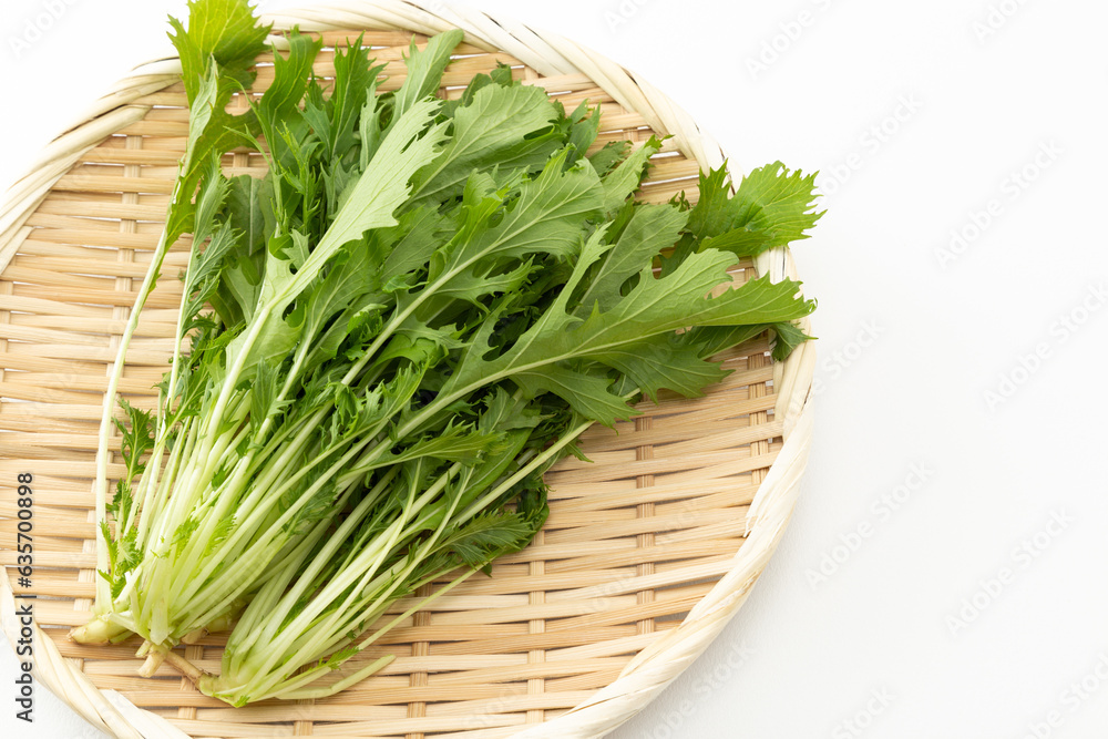 白背景に水菜 白背景に水菜