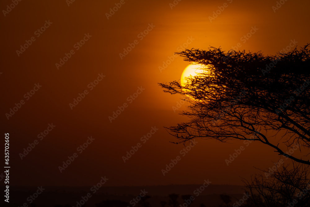 Africa's golden hour sunset