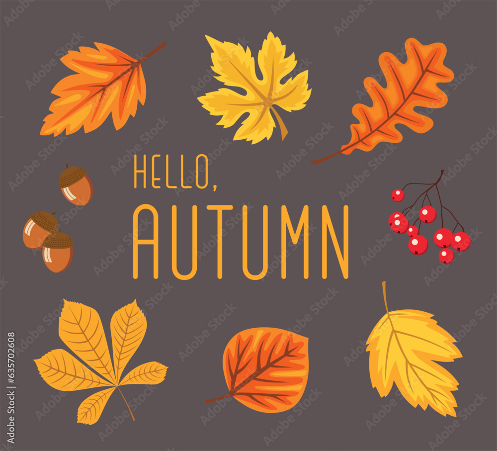 Set of bright yellow and orange autumn leaves. Hello autumn postcard design. Elements can be used for pattern or any other design