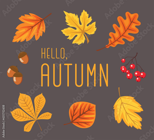 Set of bright yellow and orange autumn leaves. Hello autumn postcard design. Elements can be used for pattern or any other design