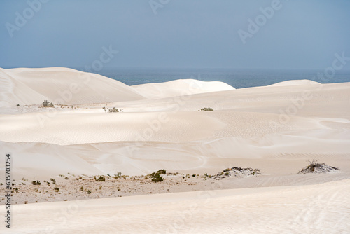 Lancelin Sand Dunes in Western Australia. photo