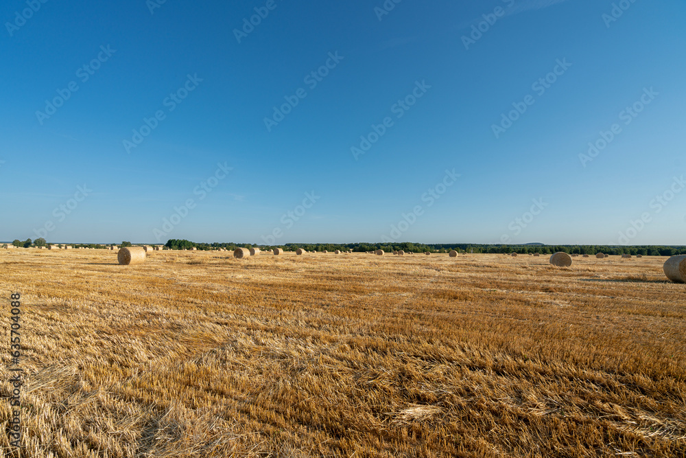 Haystacks on wheat field under the beautiful blue cloudy sky