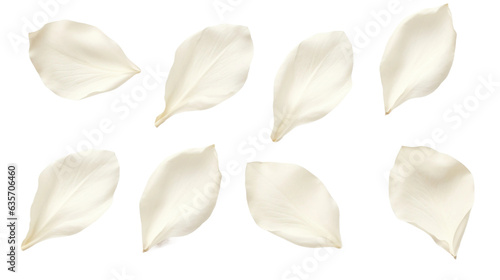 elegant collection of soft white flower petals isolated on a transparent background, generative ai  © Perfect PNG