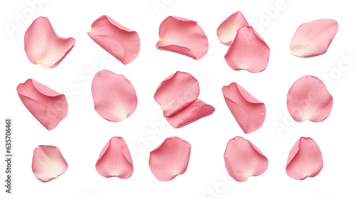 Fotografie, Obraz elegant collection of soft pink flower petals isolated on a transparent backgrou