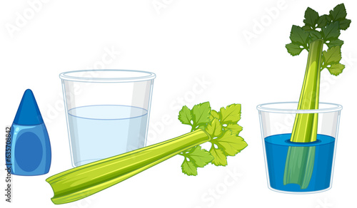 Celery Experiment: Changing Color through Science Education