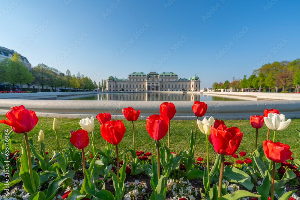 Obraz premium photos of historical architectural landmarks of vienna the capital of austria
