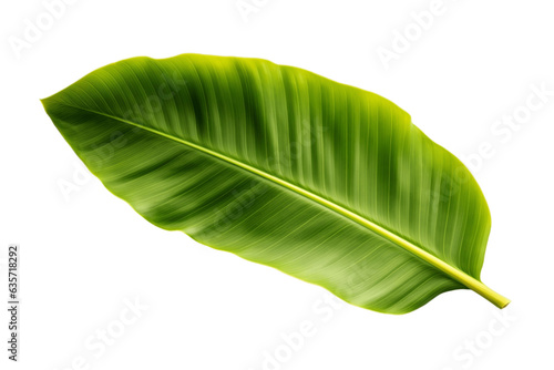 banana leaf Isolated on transparent background  Generative Ai