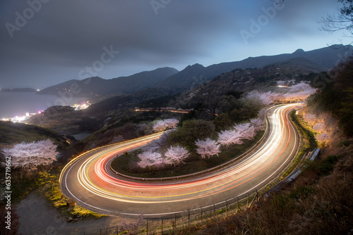 벚꽃길의 차량 장노출  © Jaesub