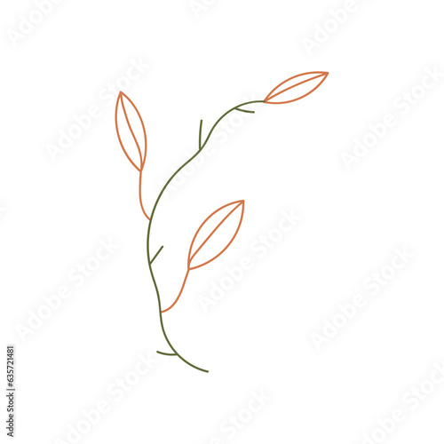 Flower bud illustration