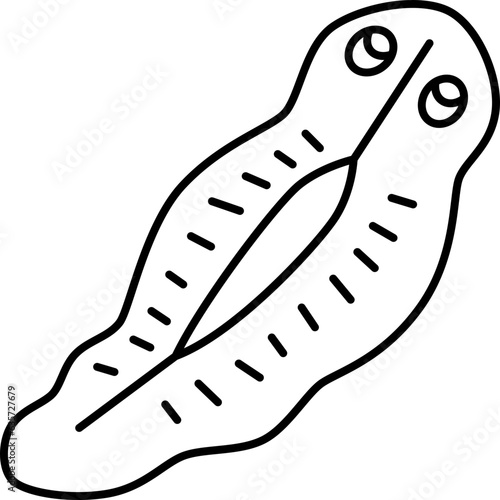 flatworm  icon