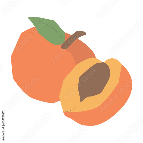 Apricots flat illustration