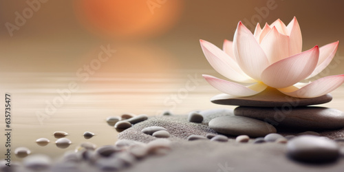 Detail of lotus flower on a blurred background, Concept of mindfulness