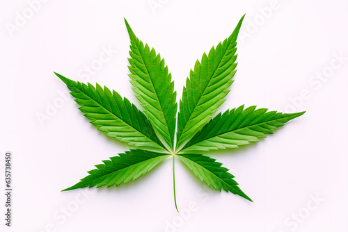 Cannabis leaf on a white background. Marijuana on an isolated background
