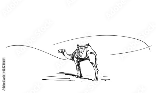 Camel with a saddle on a hump standing in the middle of a desert, Animal hand drawn illustration, Vector sketch