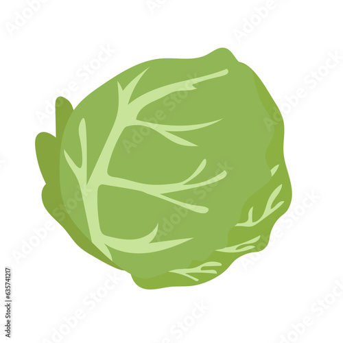 Cabbage flat icon vector illustration, sayur kol vegetable in cartoon style, food ingredients