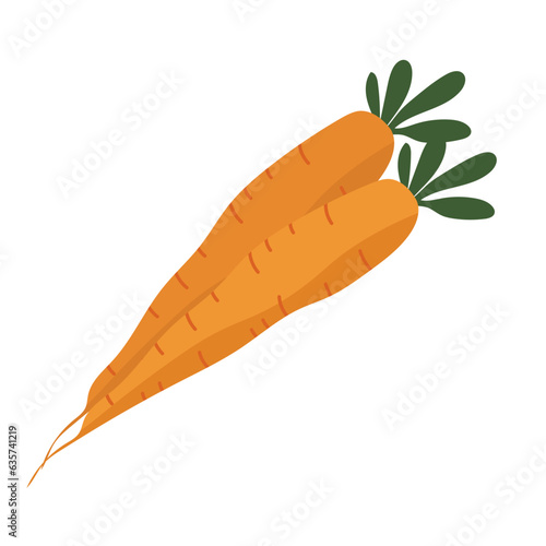 Carrot vegetable flat icon vector illustration, wortel vegetables in cartoon style photo