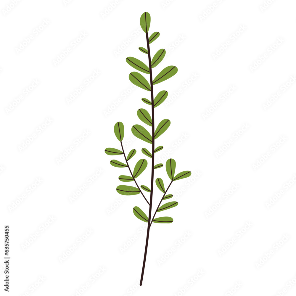 Fototapeta premium plant twig on white background vector