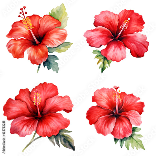 Set of Watercolor Red hibiscus flowers Isolated in Transparent Background